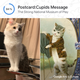 Image for article titled Google's New 'Pet Portraits' Feature Helped Me Find my Cat's Historical Doppelganger